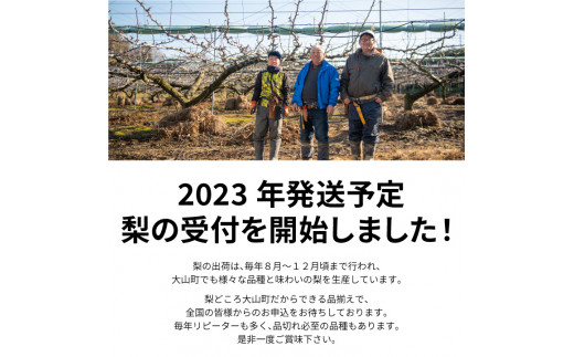 YN-06　和梨・洋梨　食べ比べ　定期便