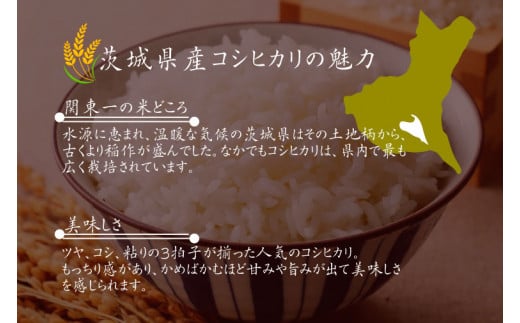 令和6年産 茨城県水戸市常澄産コシヒカリ みと米【こしひかり お米 米 小分け 少量パック 3合 三合  真空 真空パック 5000円以内 3000円以内 水戸市 茨城県】（EX-2）