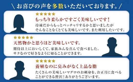 【年内発送】プレミア和歌山認証品 本マグロ（養殖）トロ＆赤身セット　500g【年末発送（12月26日から30日発送）】