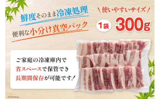 宮崎県産 豚肉 & 鶏肉 バーベキューセット 合計2kg [甲斐精肉店 宮崎県 美郷町 31as0051] 肉 豚 バラ ハラミ ホルモン 鶏 モモ