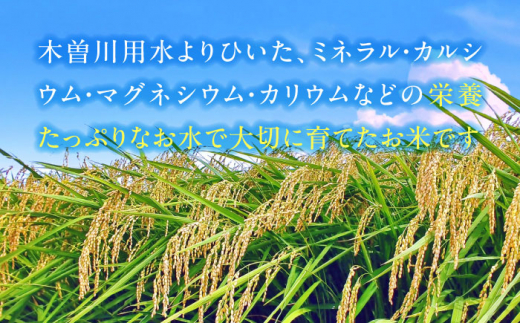 【7月発送】【有機米】　 きぬひかり　白米　5kg　米　お米　ご飯　愛西市/脇野コンバイン [AECP019-10]