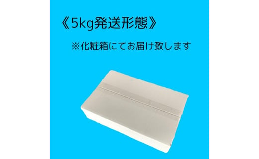 京都府綾部市産こしひかり 5kg【 京都 綾部 お米 コメ 5キロ 精米 白米 コシヒカリ 米 丹波 】