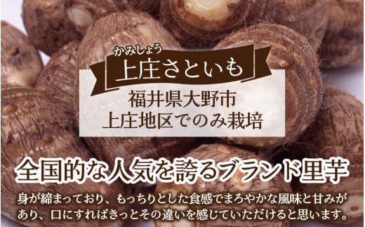 【先行予約】【10月発送分】上庄さといも 5kg 減農薬・減化学肥料の特別栽培里芋 