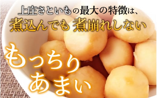 【先行予約】【10月発送分】上庄さといも 5kg 減農薬・減化学肥料の特別栽培里芋 