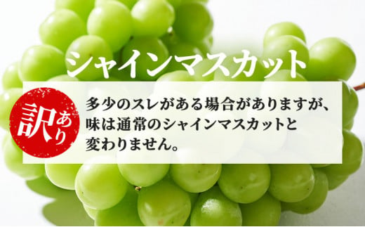 [№5729-0254]訳あり シャインマスカット 約1.2kg 粒 YANAGISAWA ぶどう 長野 マスカット ブドウ フルーツ 果物 シャイン【 果物類 】