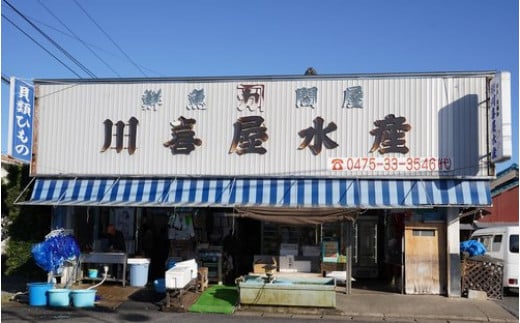 【定期便3ヶ月】九十九里産 大粒 天然はまぐり1.5kg×3回 計4.5kg ふるさと納税 はまぐり 蛤 天然 焼きはま 網焼き 酒蒸し お吸い物 お祝い パエリア 和食 活はまぐり 千葉県 白子町 SHF009