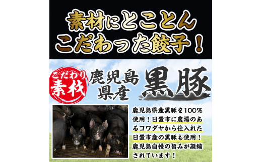 No.429-c-m11 ＜2024年11月中に発送予定＞鹿児島黒豚使用の黒豚コンビ餃子(計108個・黒豚：12個入り×4パック、もちっと：15個入り×4パック)国産 九州産 ぎょうざ ギョウザ 冷凍 黒豚 豚肉 お肉 おかず【末永商店】