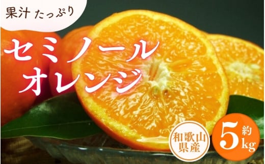 セミノールオレンジ 約5kg/サイズおまかせ　※2025年4月中旬～2025年5月下旬頃に順次発送予定(お届け日指定不可)　紀伊国屋文左衛門本舗【kstb481A】