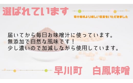 早川町の手作り田舎味噌　「白鳳味噌」2ｋｇ
