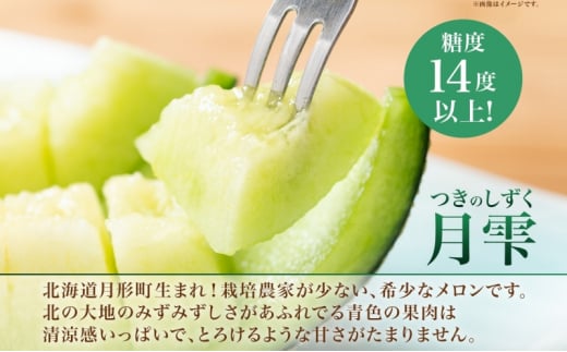 【2025年夏発送】北海道 青肉メロン 月雫 秀品 1玉 約1.6kg 令和7年 メロン 果物 フルーツ 旬 季節 希少 甘い 豊潤 国産 北海道産 デザート ご褒美 産地直送 産直 ギフト お祝い 贈答品 贈り物 お中元 常温 お取り寄せ 送料無料 [№5783-0717]