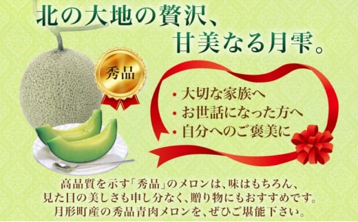 【2025年夏発送】北海道 青肉メロン 月雫 秀品 1玉 約1.6kg 令和7年 メロン 果物 フルーツ 旬 季節 希少 甘い 豊潤 国産 北海道産 デザート ご褒美 産地直送 産直 ギフト お祝い 贈答品 贈り物 お中元 常温 お取り寄せ 送料無料 [№5783-0717]