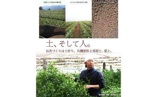 奥八女星野村 深蒸し高級煎茶 深蒸し茶 約100g×1袋