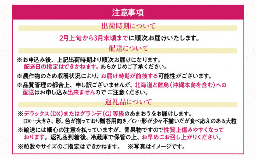 福岡産【春】あまおう 4パック 合計約1000g～1080g 約1kg （1パックあたり約250g～約270g） いちご 苺 果物 フルーツ 九州産 福岡県産 冷蔵 送料無料 【2月上旬発送開始予定】