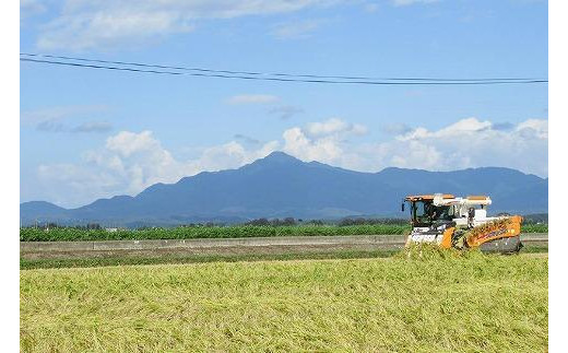 米 お米マイスターが育てた特別栽培米 精米コシヒカリ 上越産 令和5年産 2kg(2kg×1袋)無洗米 こしひかり