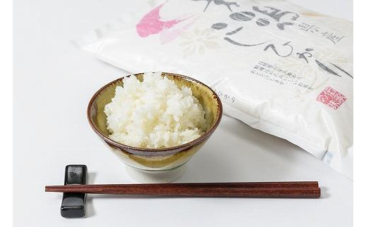 米 お米マイスターが育てた特別栽培米 精米コシヒカリ 上越産 令和5年産 2kg(2kg×1袋)無洗米 こしひかり