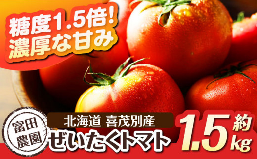  トマト とまと 先行予約 夏野菜 季節の野菜 冷蔵 冷蔵配送 