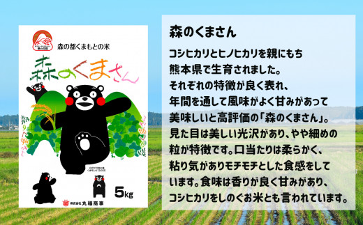 【定期便12回】 熊本県産 森のくまさん 5kg×12回 | 米 こめ お米 おこめ 白米 精米 玄米 定期 定期便 熊本県 玉名市