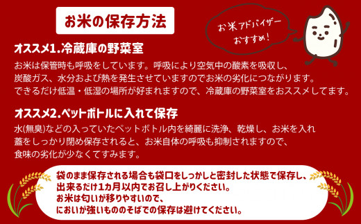 【定期便12回】 熊本県産 森のくまさん 5kg×12回 | 米 こめ お米 おこめ 白米 精米 玄米 定期 定期便 熊本県 玉名市