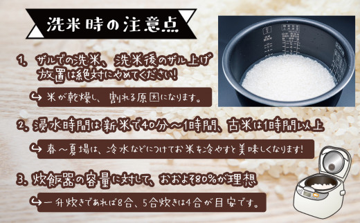 【定期便12回】 熊本県産 森のくまさん 5kg×12回 | 米 こめ お米 おこめ 白米 精米 玄米 定期 定期便 熊本県 玉名市