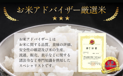 【定期便12回】 熊本県産 森のくまさん 5kg×12回 | 米 こめ お米 おこめ 白米 精米 玄米 定期 定期便 熊本県 玉名市