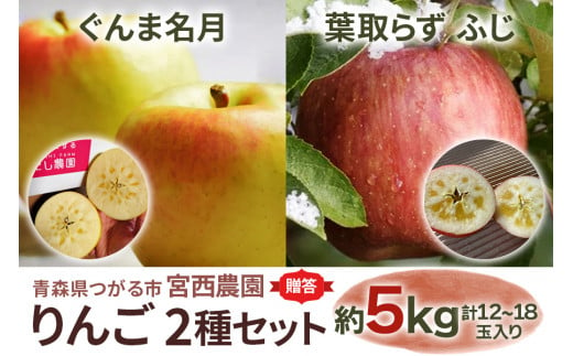 [贈答] ぐんま名月×葉取らずふじ【約5kg 計12～18玉入り】贅沢りんご 2種セット｜青森産 津軽 つがる りんご リンゴ 果物 フルーツ [0686]