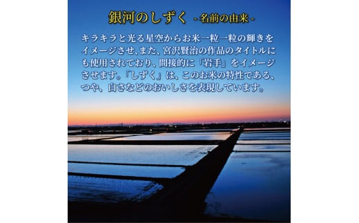 米 10kg 5kg×2袋 銀河のしずく 白米 お米 1等米 精米 ご飯 朝食 昼食 夕食 国産 岩手県 大船渡市