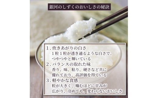 米 10kg 5kg×2袋 銀河のしずく 白米 お米 1等米 精米 ご飯 朝食 昼食 夕食 国産 岩手県 大船渡市