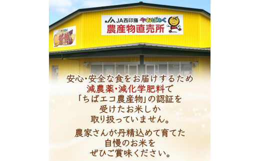 コシヒカリ 新米 10kg 千葉県産 減農薬 減化学肥料 精米したて