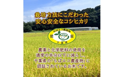 コシヒカリ 新米 10kg 千葉県産 減農薬 減化学肥料 精米したて