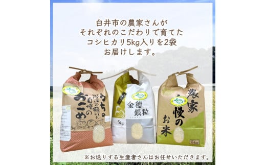 コシヒカリ 新米 10kg 千葉県産 減農薬 減化学肥料 精米したて