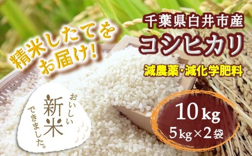 コシヒカリ 新米 10kg 千葉県産 減農薬 減化学肥料 精米したて