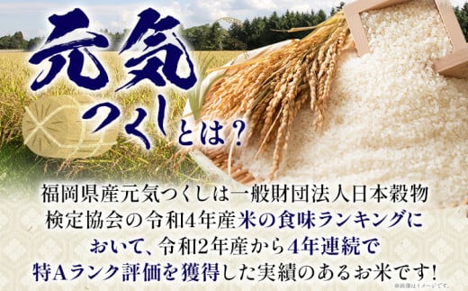 おいしく炊ける玄米ごはん元気つくし1.5kg 元気つくし 森光商店 老舗 福岡 お米 米 ごはん ご飯 お弁当 おにぎり 福岡ブランド米 めし丸 志免 志免町 福岡県