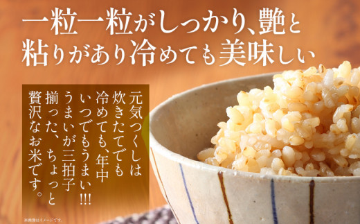 おいしく炊ける玄米ごはん元気つくし1.5kg 元気つくし 森光商店 老舗 福岡 お米 米 ごはん ご飯 お弁当 おにぎり 福岡ブランド米 めし丸 志免 志免町 福岡県