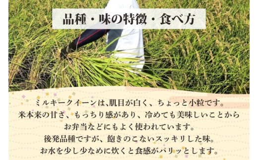 【6ヶ月定期便】【令和6年産】学生と作ったミルキークイーン計30kg（5kg×6回）【お米 米 コメ ごはん 10万円以下 30キロ 茨城県 水戸市 水戸】（DN-30）