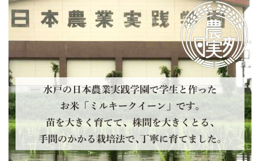 【6ヶ月定期便】【令和6年産】学生と作ったミルキークイーン計30kg（5kg×6回）【お米 米 コメ ごはん 10万円以下 30キロ 茨城県 水戸市 水戸】（DN-30）