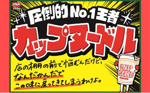 定期便　日清カップヌードル（1ケース20食入）6ヶ月連続お届け カップラーメン カップ麺 お昼ごはん おやつ 軽食 夜食 キャンプ飯 備蓄 ローリングストック