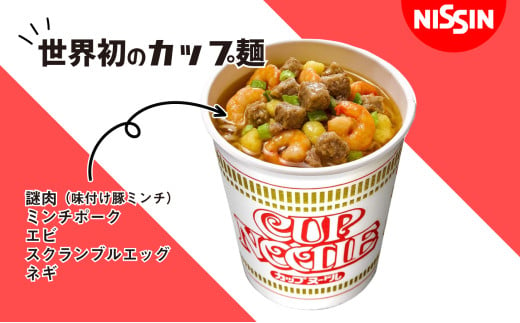 定期便　日清カップヌードル（1ケース20食入）6ヶ月連続お届け カップラーメン カップ麺 お昼ごはん おやつ 軽食 夜食 キャンプ飯 備蓄 ローリングストック