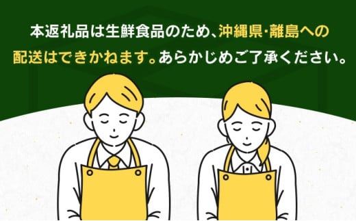 訳あり 数量限定 日南市産 完熟マンゴー 6玉～10玉 約2.8kg 期間限定 フルーツ 果物 くだもの 国産 食品 デザート おやつ フルーツサンド おすすめ 2025年 ご褒美 贅沢 産地直送 規格外 おすそ分け 家庭用 冷蔵 宮崎県 日南市 送料無料_F77-24