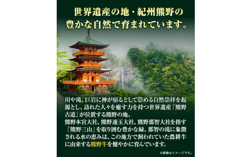 【和歌山県のブランド牛】熊野牛 ロースすきやき用 400g 厳選館《90日以内に出荷予定(土日祝除く)》 和歌山県 日高町 熊野牛 牛 うし ロース すきやき