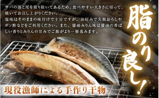 定期便≪2ヶ月連続お届け≫ 米 令和5年産 コシヒカリ5kg と 天然さば干物「極うまサバ」塩味 醤油みりん味 半身3パック食べ比べセット 【精米】【福井県美浜町産米】[m60-a005]