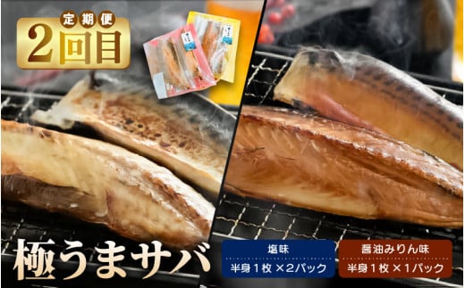 定期便≪2ヶ月連続お届け≫ 米 令和5年産 コシヒカリ5kg と 天然さば干物「極うまサバ」塩味 醤油みりん味 半身3パック食べ比べセット 【精米】【福井県美浜町産米】[m60-a005]