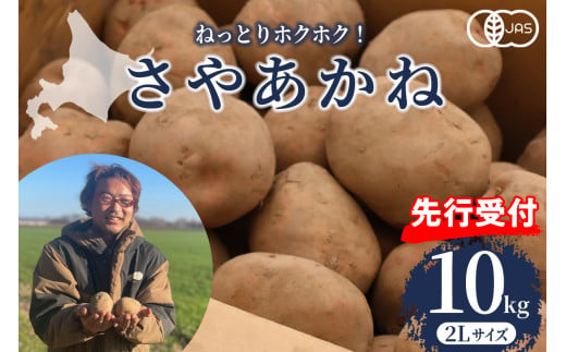 【先行予約】【2024年12月より配送】北海道十勝芽室町 さやあかね ２Lサイズ 10kg me049-005c-24