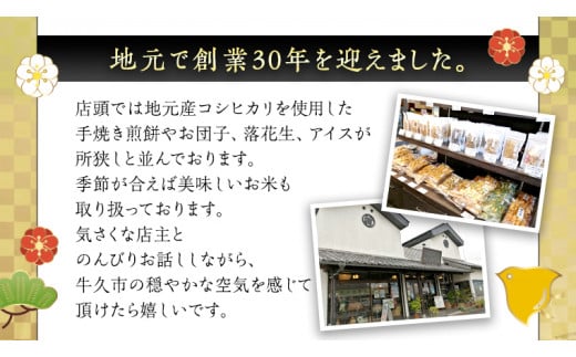 【熨斗付き】 《あれこれ 煎餅 シリーズ》 海苔せん 3袋 【レギュラー】  煎餅 海苔 のり巻 詰合せ 厳選 セット 食べ比べ おつまみ おやつ せんべい ギフト 贈答 のし付き