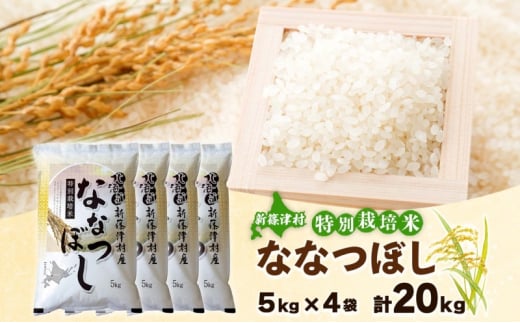 北海道 特別栽培 令和6年産 ななつぼし 20kg 精米 米 白米 お米 新米 ごはん ご飯 ライス 道産米 ブランド米 新しのつ米 ふっくら 食味ランキング  産地直送 お取り寄せ カワサキ森田屋 送料無料 