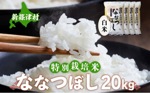 北海道 特別栽培 令和6年産 ななつぼし 20kg 精米 米 白米 お米 新米 ごはん ご飯 ライス 道産米 ブランド米 新しのつ米 ふっくら 食味ランキング  産地直送 お取り寄せ カワサキ森田屋 送料無料 