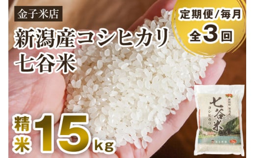 【令和6年産新米】【定期便3回毎月お届け】老舗米穀店が厳選 新潟産 従来品種コシヒカリ「七谷米」精米15kg（5kg×3）白米 窒素ガス充填パックで鮮度長持ち 金子米店