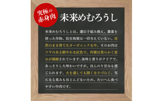 北海道十勝芽室町 未来めむろうし100％ハンバーグ　300g×4パック me067-002c