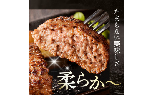 北海道十勝芽室町 未来めむろうし100％ハンバーグ　300g×4パック me067-002c