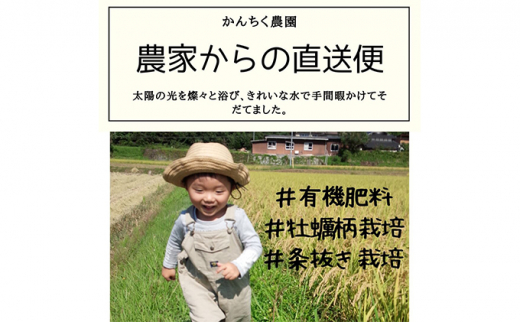 [№5757-0393]お米 ミルキークイーン 4kg 岡山県美咲町産 おこめ 米 国産