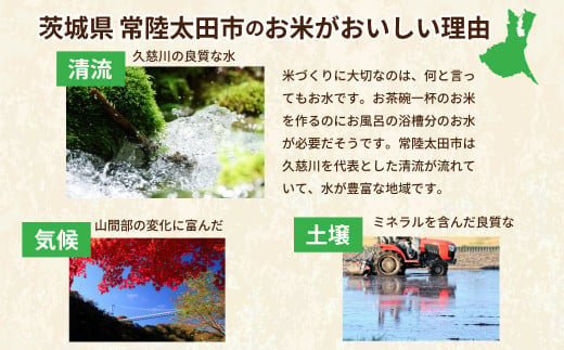 【令和６年産 新米】 2週間以内発送 特別栽培認証米 龍の瞳 いのちの壱 希少品種 龍神の舞 白米５kg | 茨城県 常陸太田市 特別栽培認証米 いのちの壱  希少品種 冷めてもおいしい もっちり GAP認証 森 ミネラル 水 山田川 安全 安心 美味しい 米